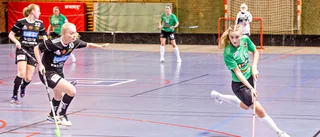FBC-damerna föll knappt i Linköping