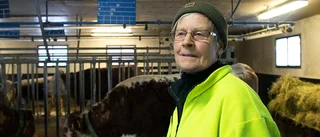 Lerboprofilen Ulla Andersson har avlidit