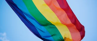 Beslutet om prideflaggan JO-anmäls