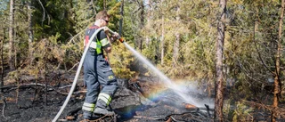 Torrt i markerna - avråder från eldning på hela Gotland