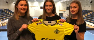 Trio från Gamla Stan går till Kaif