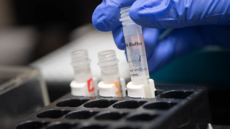 Analysen av coronaprover från Blekinge försenas på grund av dåligt fungerande transporter, enligt chefen för klinisk mikrobiologi i Blekinge och Kronoberg. Arkivbild.