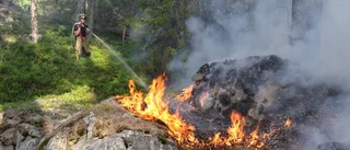 Beskedet: Eldningsförbud införs i Norrköpings Kommun