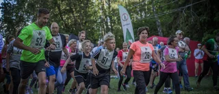 Sommarlunken ska ersätta Midsommarlunken
