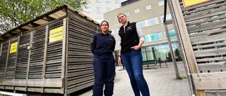 "Unga kriminella blir skjutna, hamnar i fängelse eller kommer till oss"