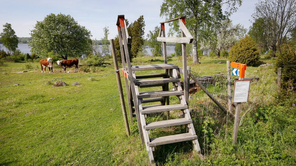 Tillgången till naturen är stor i Sörmland, skriver Clas Persson. Bilden är från en av Sörmlandsledens etapper.