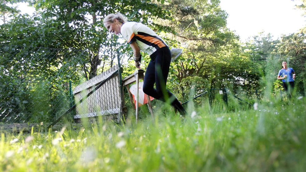 Gotlands Orienteringsförbund stänger sitt kansli.