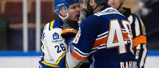 LISTA: De tio bästa värvningarna till hockeyallsvenskan