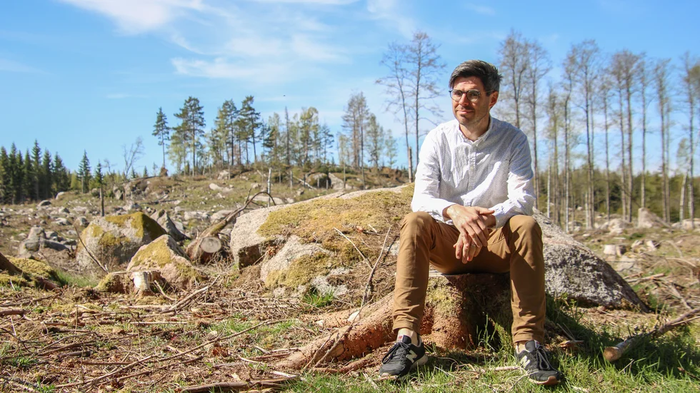 Ett stenkast från Joel Halldorfs hus finns numera ett stort kalhygge –resultatet av granbarkborrens härjningar.