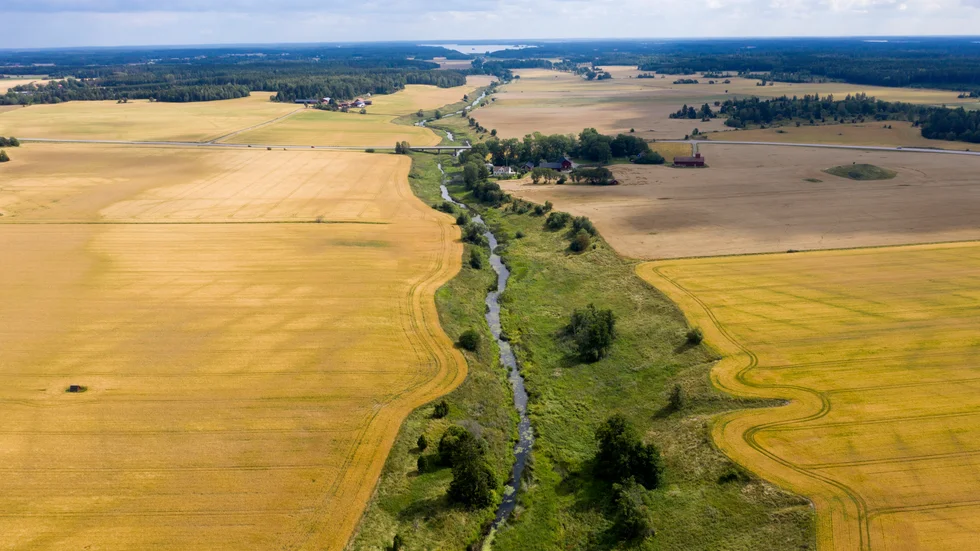Sagån utgör en naturlig gräns mellan Uppland och Västmanland. Men ån, som mynnar ut i Mälaren, är kraftigt övergödd och flera insatser görs för att minska näringsläckaget kring ån. Ett viktigt samarbete mellan kommunerna Västerås, Enköping och Sala.
