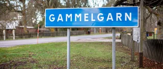 Tolv nya tomter på östra Gotland