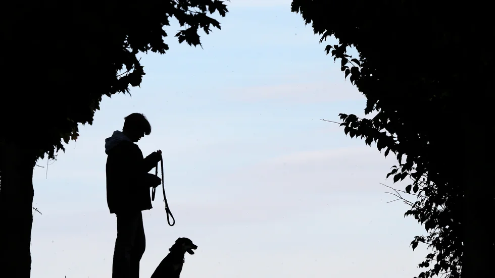 Hundägaren är misstänkt för vållande till kroppsskada och brott mot lagen om tillsyn av hundar och katter.