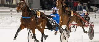 Zorro tillbaka efter halsinfektion