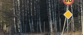 Insändare: Hastighetssänkningen – byta siffror på skyltarna hjälper inte