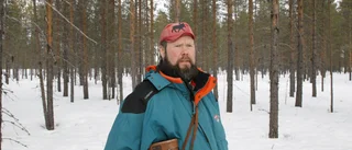 Lodjursungarna sköts samma dag