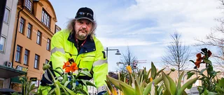Olle Svensson sätter vårkänslorna i centrum