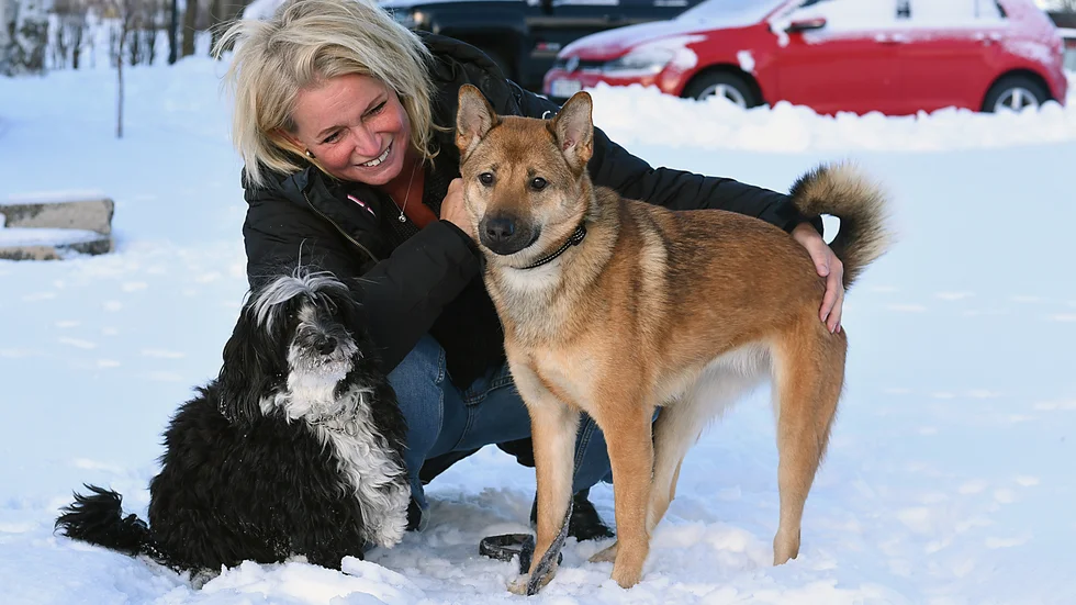 Roxy är ovanlig på så vis att hennes föräldrar inte är okända. ”Tiken och hanen bor på gatan och hänger alltid ihop, som ett strävsamt par, men nu är mamman kastrerad. Vi vet till och med vem farfar är”, säger Pernilla.
