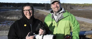 Våren är fågelskådarnas högtid 