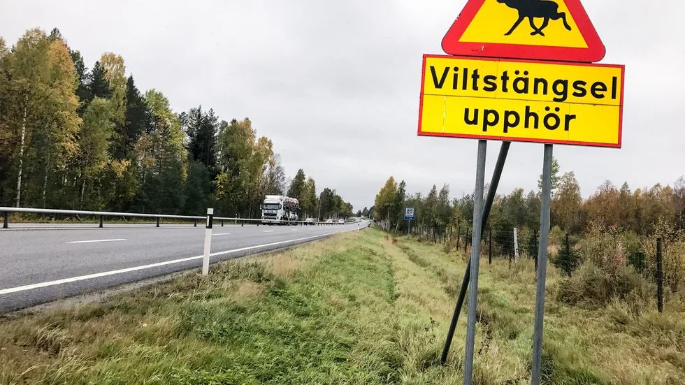 En man med en kundvagn går längs E4, enligt uppgifter från trafikanter. Polisen har talat med mannen tidigare under fredagen efter flera samtal till polisen. (Arkivbild)