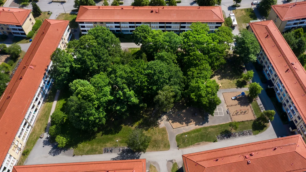 Bostadsområdet Berga började att byggas 1954. Innergården på Knektgatan har en kulle med flera ekar.
