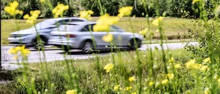 Midsommar: Så undviker du olyckor i trafiken