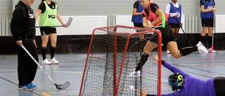 Hedberg: "Vi gör ingen skillnad"
