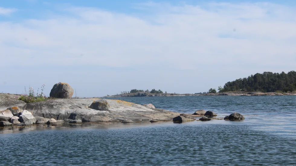"Skärgården är vår gemensamma bästa verksamhet som vi vill visa tillsammans." Det säger ett femtontal företagare som startat projektet "Ut och njut i Gryt"