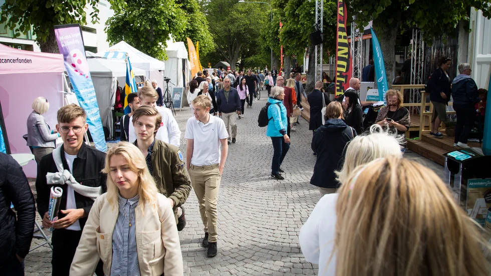 "Beställarna, det vill säga den lokala arrangörsgruppen som består av politiker från samtliga lokala partier, är otydliga med sina ambitioner. "