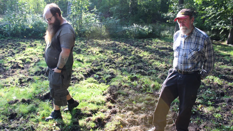 Peer Kristiansson och kollegan Göte Nilsson när vi träffade dem i Gunnebo för tre år sedan. "Det är ett hopplöst arbete att försöka hålla gräsytorna i samhället fina. ´Olas park´ ser ut som rena rama slagfältet", sade Peer då. I år är det betydligt lugnare på vildsvinsfronten.