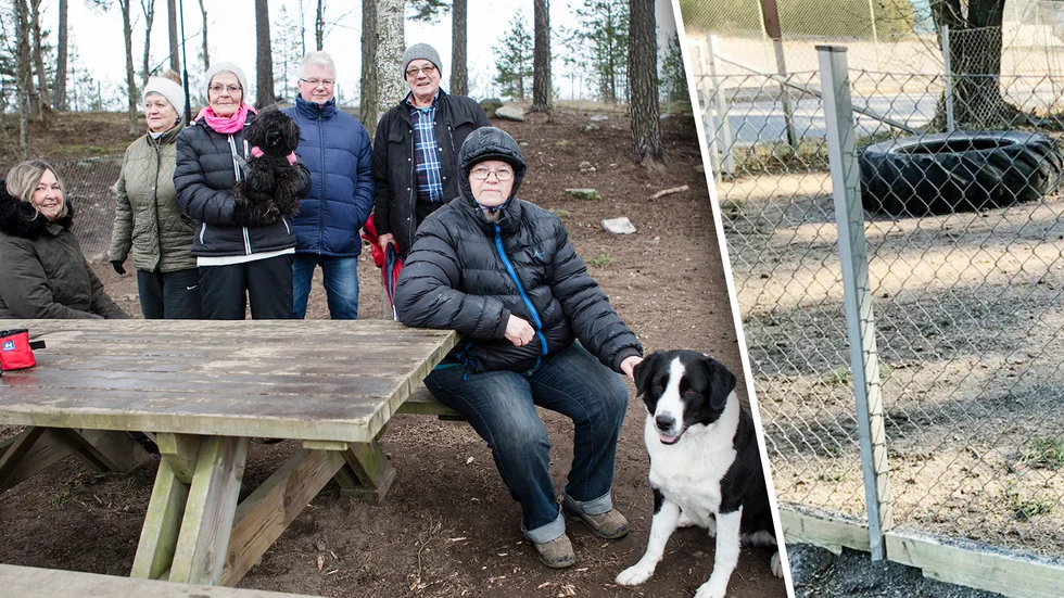 Några av hundägarna som brukar ses i parken var missnöjda i februari. Nu har hundparken rustats upp. Till höger sitter Britt-Marie Munter som var nära att träffas av ett träd som blåste ned.
