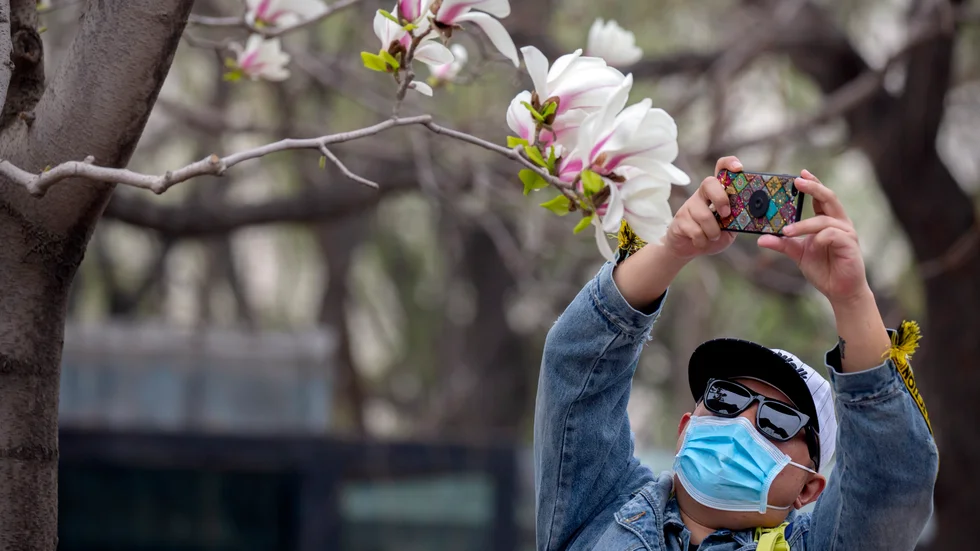 Försäljningen och produktionen av munskydd i Kina har skjutit i höjden såväl innanför som utanför Kinas gränser. Här är en besökare på ett zoo i Peking som nyligen öppnat igen efter att ha varit stängt på grund av coronautbrottet.