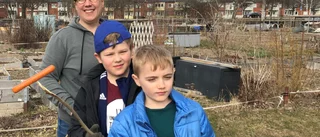 Efterlängtad start i koloniträdgården 