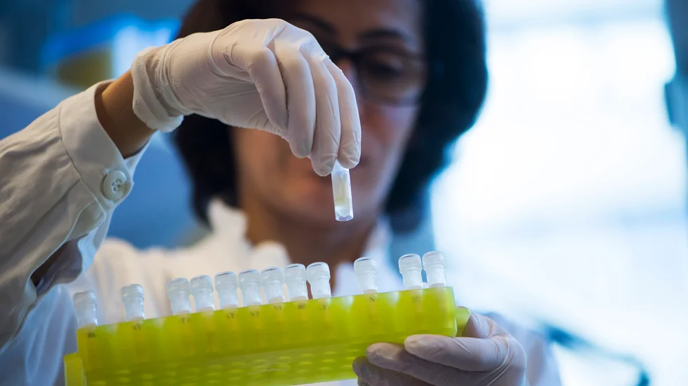 Arkivbild. Enligt en ny studie är immunförsvaret begränsat hos svårt njursjuka efter vaccination mot coronaviruset.