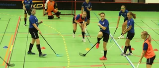 Piteåklubbarna efter beskedet: "Vi kör igång på måndag"