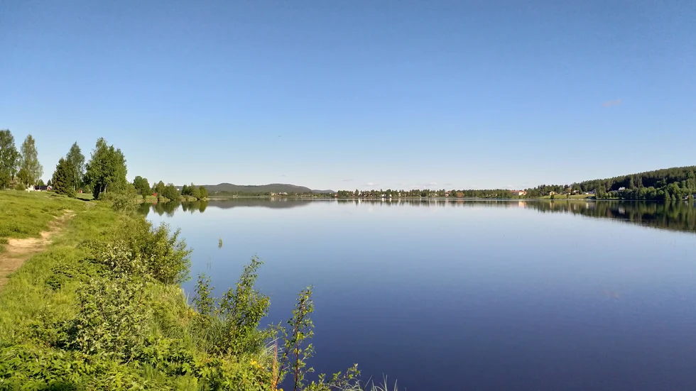 Sommarbilden.