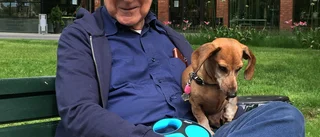 Diego, 88, finner förtröstan med hunden Totti 