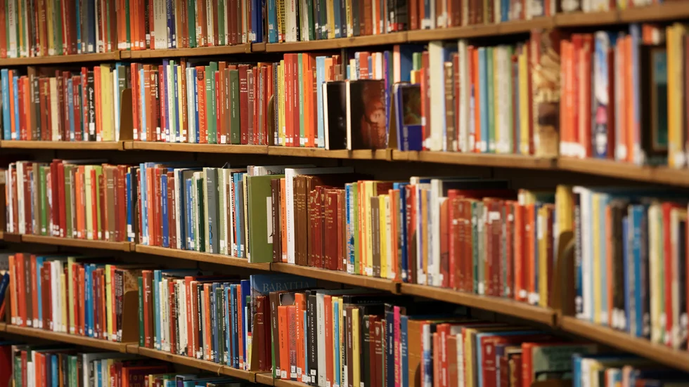  Då Alliansen presenterade sin budget för kommande år. ingick ett antal landsbygdssatsningar, bland annat en flytt av Tjällmo bibliotek.