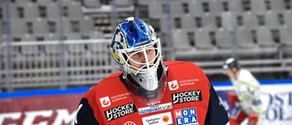 Topplaget i Hockeyallsvenskan registrerar VIK-produkten: "En bra lösning för samtliga parter"