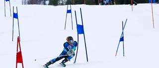 Full fart i backen – med två ton salt – i Piteå Alpinas tävling
