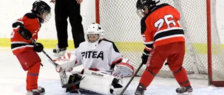 Mindre planer för unga i hockeyn