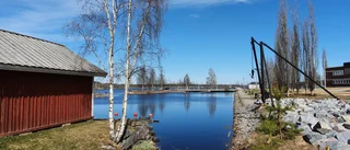Läsarbilden                   