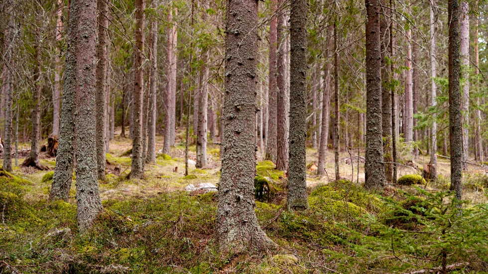  Gå ut och njut av vår fantastiska natur – men glöm inte Allemansrättens devis ”inte störa – inte förstöra”. 
