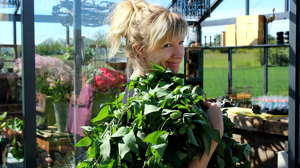 En passonerad blomsterälskare med en boa av passionsblomme-rankor. Helen Frithiof brinner för blommor som slipper långa transporter och satsar hårt på egenodlade snittblommor.