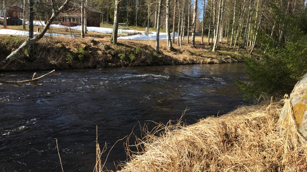 Miljön kring Persöfjärden är fotad i maj, därav snöfläckar kvar.