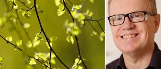 Så kan du skilja pollenallergi från corona