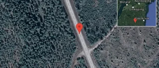 Fallna träd skapar problem i trafiken