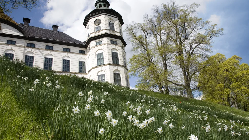 Skokloster slott beräknar att öppna igen för allmänheten den 1 juni. Fram till dess går det att besöka slottet och dess kända konstverk digitalt. 