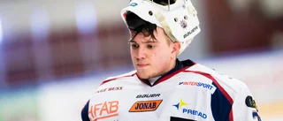 ENLIGT UPPGIFTER: Ny målvakt till Visby Roma