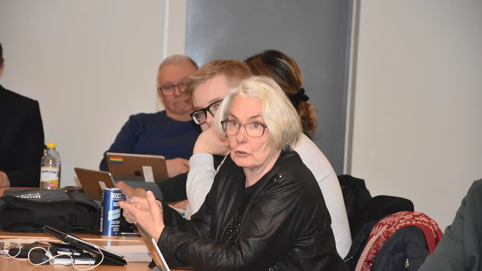 Rigmor Åström (M) föreslår tillsammans med partikamraten att kommunen startar en öppen förskola.