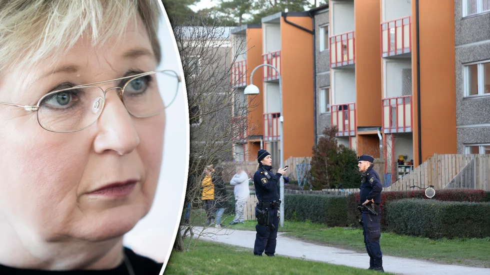Susanne Wihlborg säger att det är en komplicerad motivbild blandat av ekonomi och kärlek. 